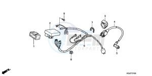 CRF80F9 Australia - (U) drawing WIRE HARNESS