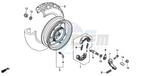 SFX50 drawing REAR WHEEL