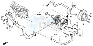 CB900F CB900 HORNET drawing WATER PUMP