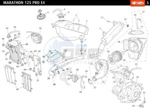 MARATHON-125-E4-TROPHY-UK-WHITE drawing TANK-EXHAUST-RADIATOR