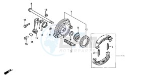 C70CW drawing FRONT BRAKE PANEL