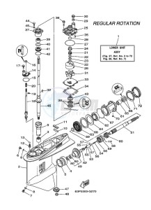 F150AETX drawing PROPELLER-HOUSING-AND-TRANSMISSION-1