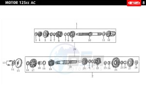 MARATHON-125-AC-SM-E4-FREE-JUMP-AUSTRIA-FREE-JUMP-GREEN drawing GEARS  EURO4