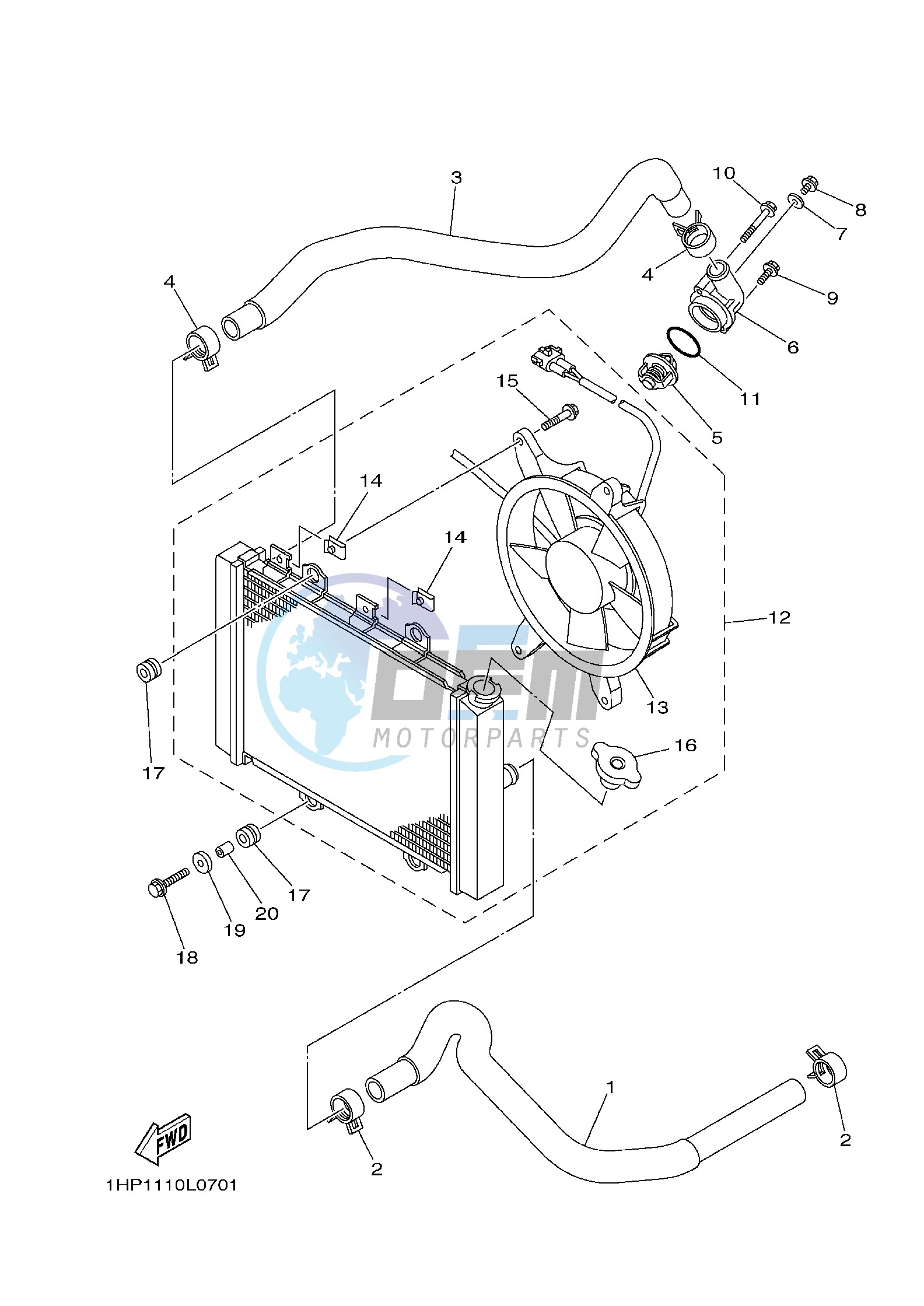 RADIATOR & HOSE