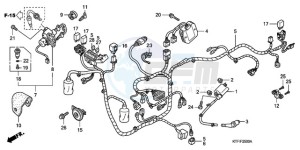 SH1509 Europe Direct - (ED / 2ED) drawing WIRE HARNESS