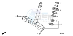 CBR1000RA9 Europe Direct - (ED / ABS) drawing STEERING STEM