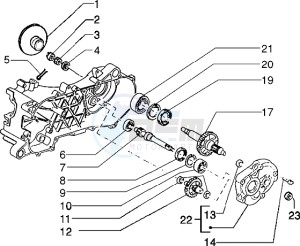 Typhoon 50 XR drawing Rear wheel shaft