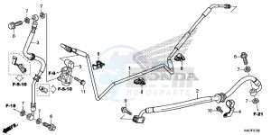 NSS125DF Forza 125 - NSS125D Europe Direct - (ED) drawing REAR BRAKE HOSE/ BRAKE PIPE (CBS)