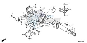 TRX500FM1G TRX500 Europe Direct - (ED) drawing SWINGARM