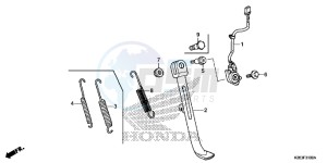 MSX125F MSX125 UK - (E) drawing STAND