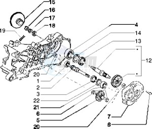 Typhoon 125 XR drawing Rear wheel shaft