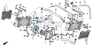 VTR1000F FIRE STORM drawing RADIATOR