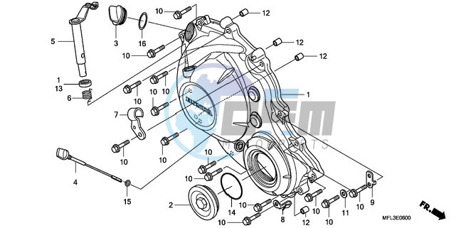 RIGHT CRANKCASE COVER