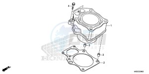 TRX420FA2F TRX420 Europe Direct - (ED) drawing CYLINDER