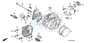 CRF70FB CRF70F ED drawing CYLINDER HEAD COVER