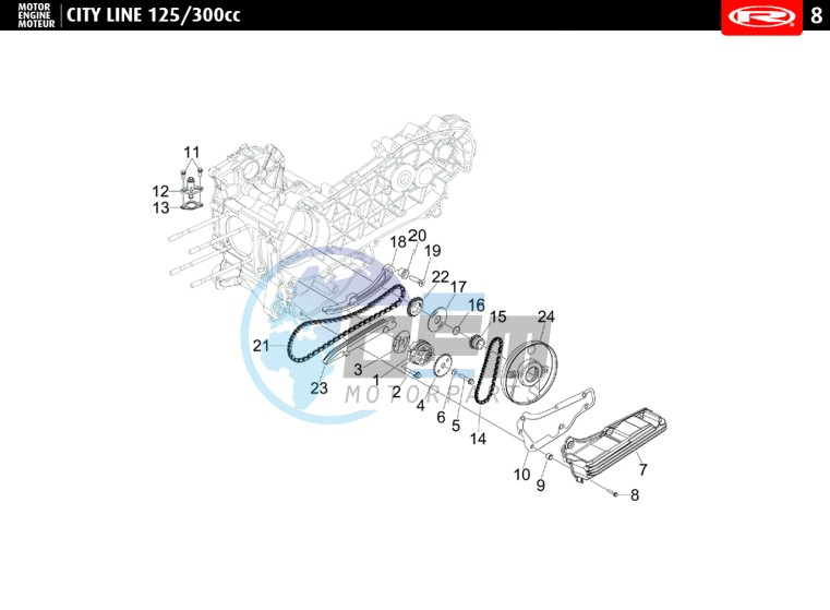 OIL PUMP - DISTRIBUTION CHAIN  300 cc