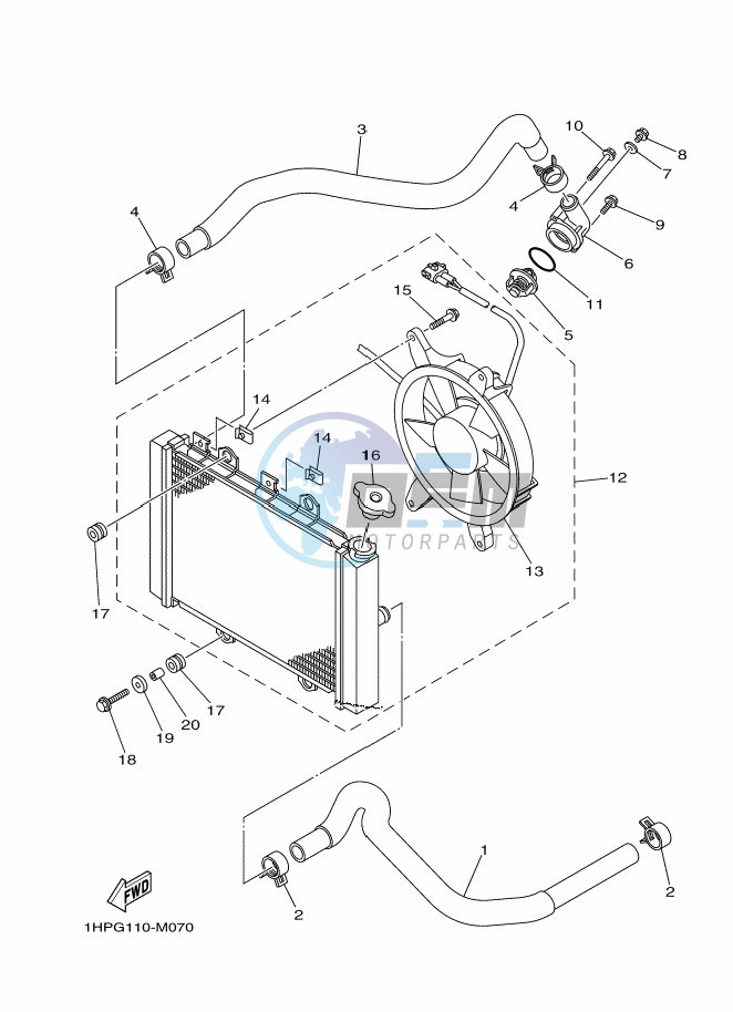 RADIATOR & HOSE