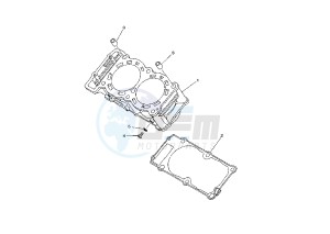 TDM 900 drawing CYLINDER