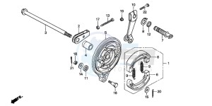 CM125C drawing REAR BRAKE PANEL