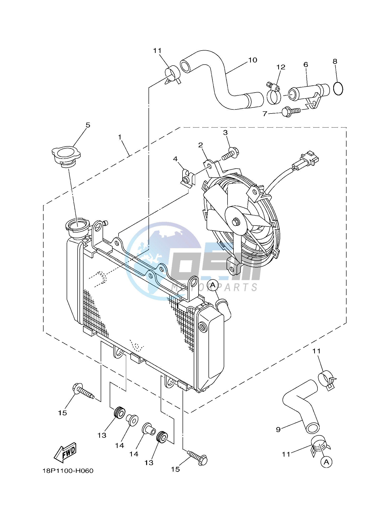 RADIATOR & HOSE