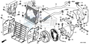 TRX420FA1H TRX420 ED drawing RADIATOR