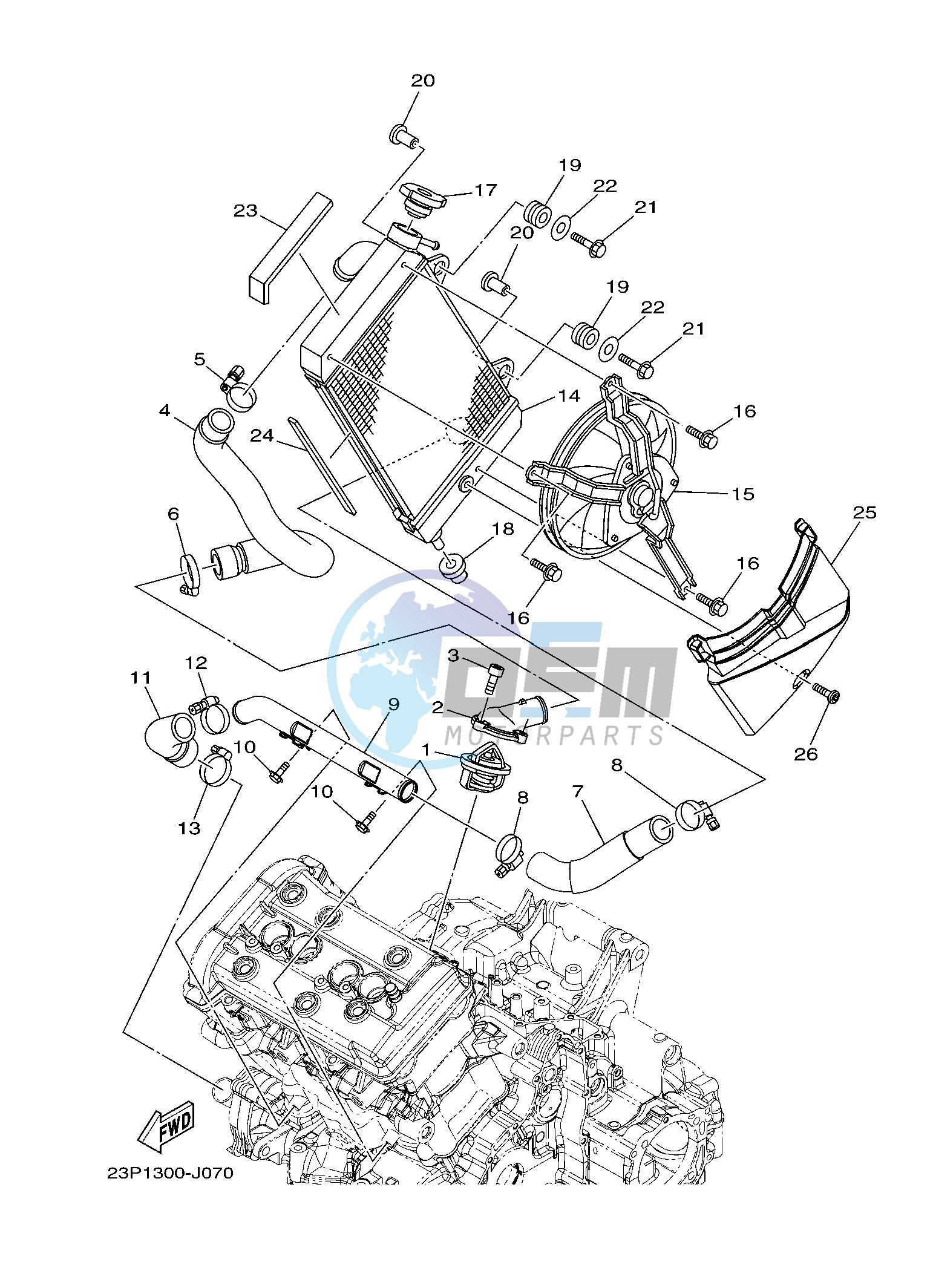 RADIATOR & HOSE