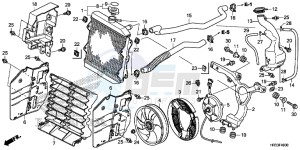 TRX420FM1E TRX420 Europe Direct - (ED) drawing RADIATOR