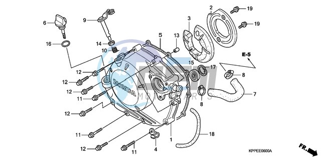 RIGHT CRANKCASE COVER