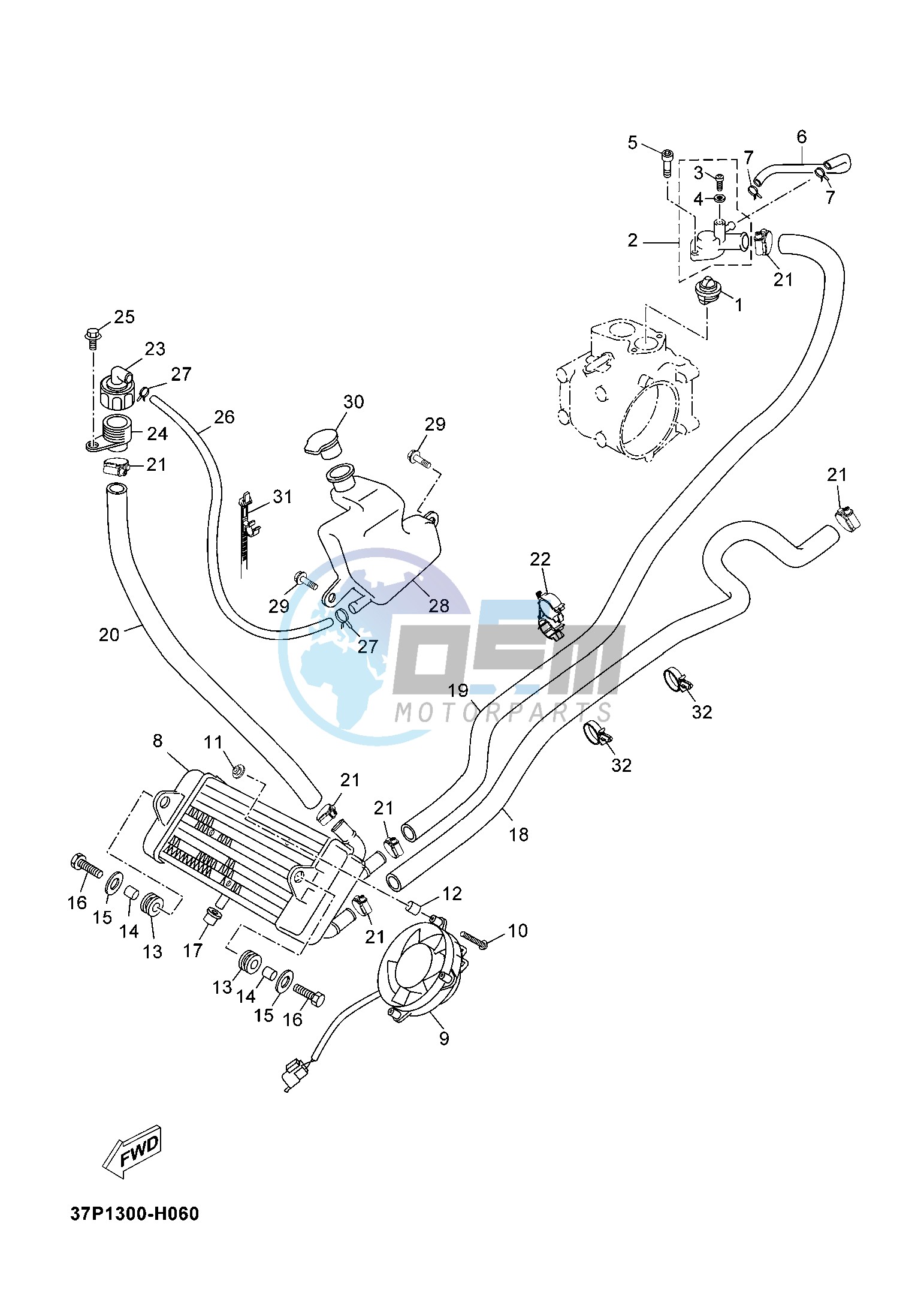 RADIATOR & HOSE