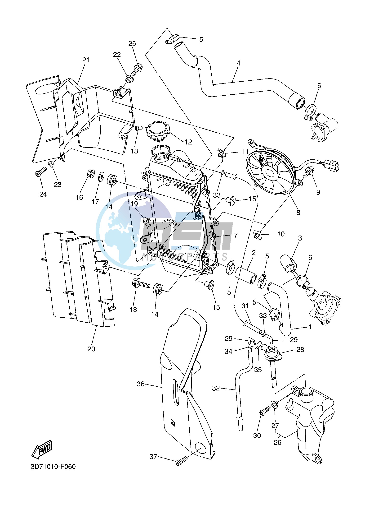 RADIATOR & HOSE