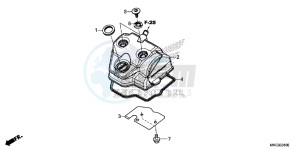 CRF450R Europe Direct - (ED) drawing CYLINDER HEAD COVER