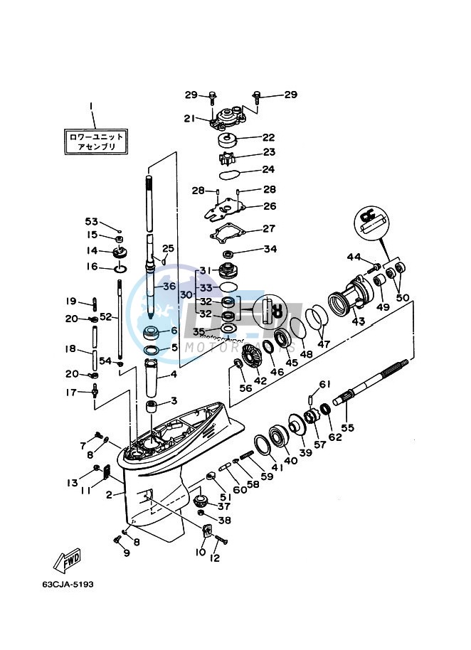 LOWER-CASING-x-DRIVE