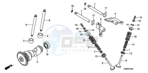 TRX250TEC drawing CAMSHAFT/ VALVE