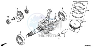 TRX500FM6F TRX500FM Australia - (U) drawing CRANKSHAFT/PISTON