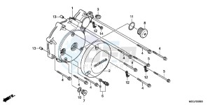 VT750C2BB Shadow E drawing LEFT CRANKCASE COVER (VT750C2B/C2S/CS/C/CA)