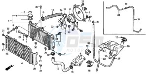 CB600F2 HORNET drawing RADIATOR