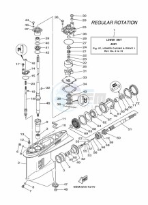 F150BETX drawing PROPELLER-HOUSING-AND-TRANSMISSION-1