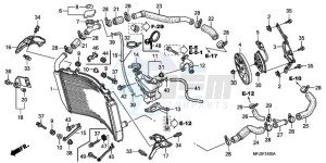 CBR600RR9 France - (F / CMF MME) drawing RADIATOR