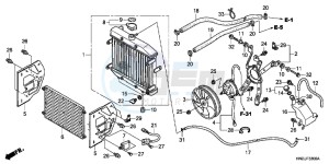 TRX500FPAC drawing RADIATOR