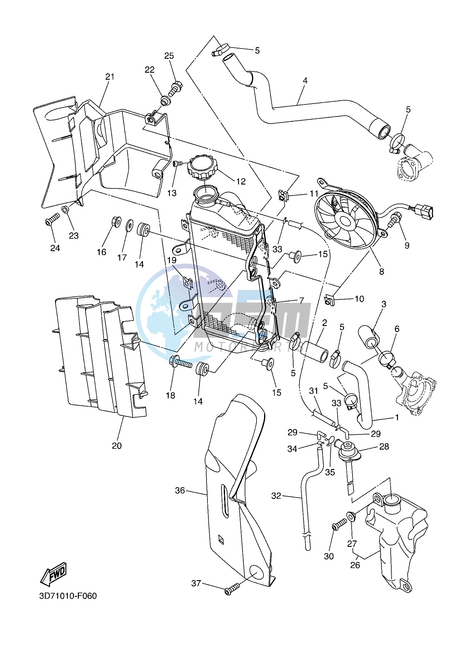 RADIATOR & HOSE