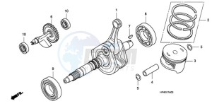 TRX420TMA Europe Direct - (ED / 2WD) drawing CRANK SHAFT/PISTON