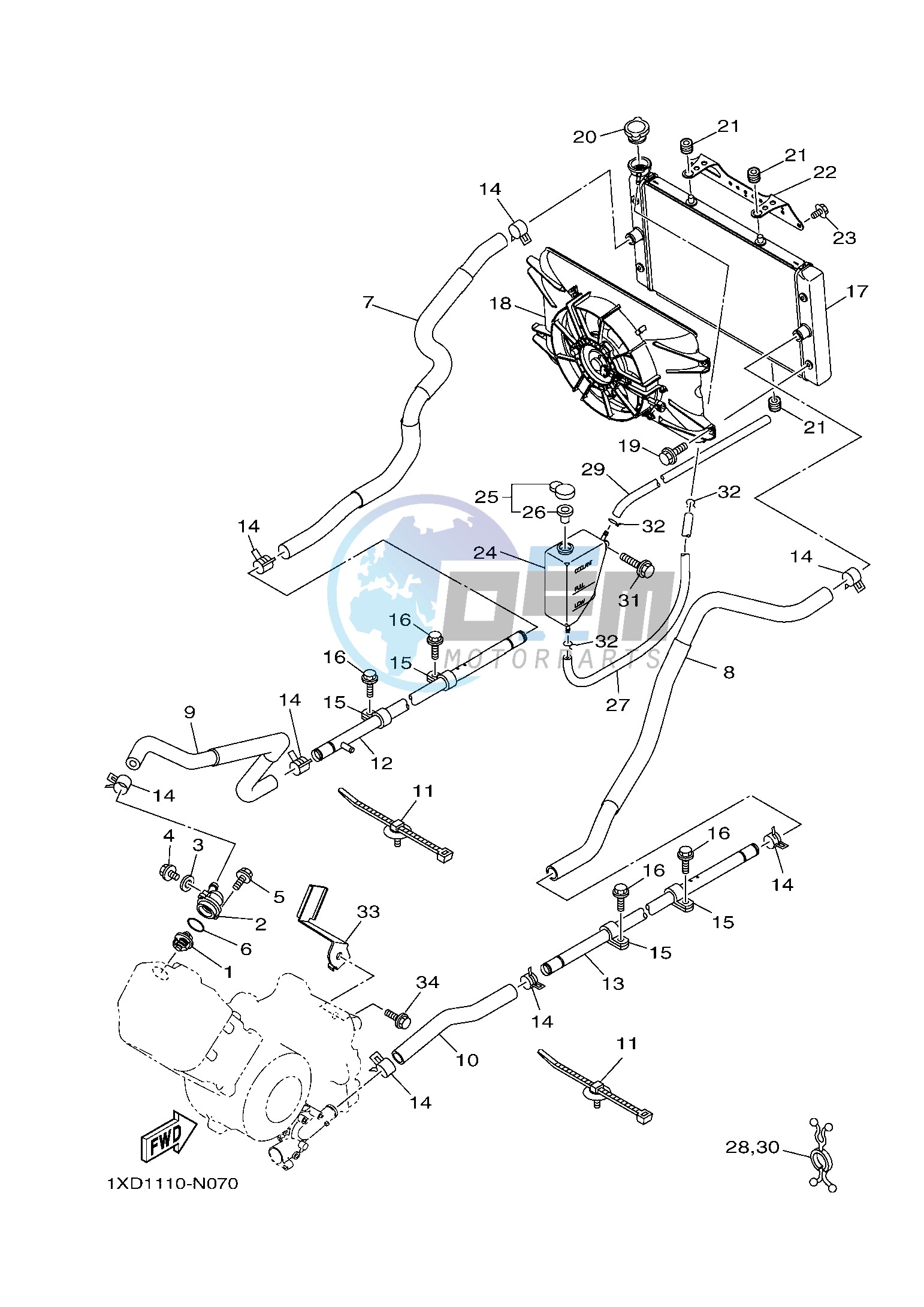 RADIATOR & HOSE