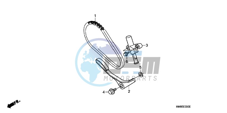 CAM CHAIN/ TENSIONER