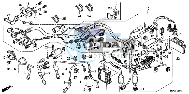 WIRE HARNESS (VT750CS/C2S)