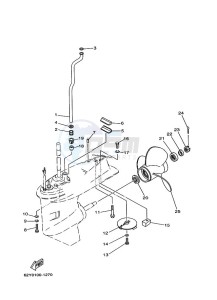 F50AETL drawing LOWER-CASING-x-DRIVE-2