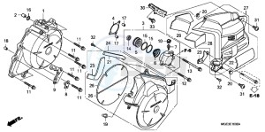 VFR1200FC drawing A.C. GENERATOR COVER