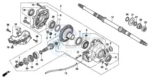 TRX300 FOURTRAX 300 drawing FINAL DRIVEN GEAR