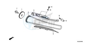 NC750XE NC750X Europe Direct - (ED) drawing CAM CHAIN/ TENSIONER