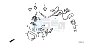 CRF150RB9 Europe Direct - (ED / T19) drawing WIRE HARNESS