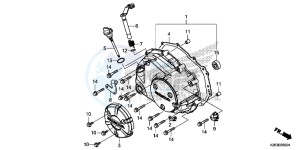 MSX125E MSX125 UK - (E) drawing RIGHT CRANKCASE COVER